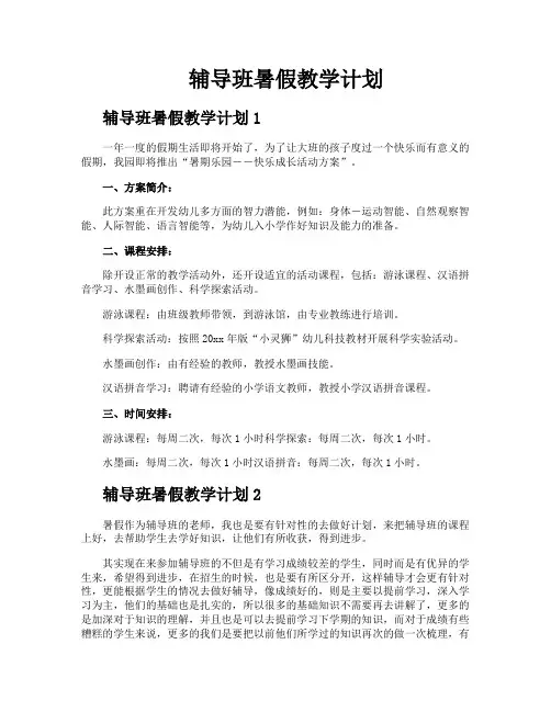 辅导班暑假教学计划