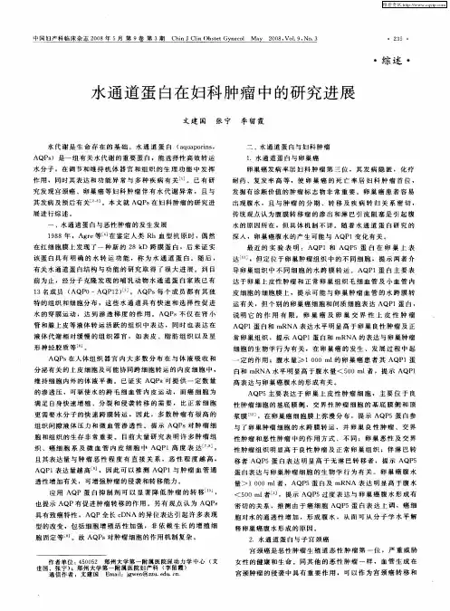 水通道蛋白在妇科肿瘤中的研究进展