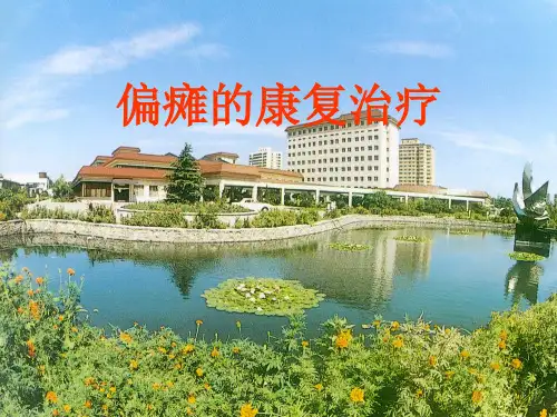 偏瘫的康复治疗专题讲座(精品版)