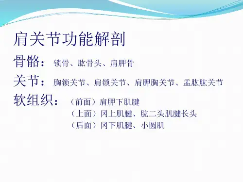 肩关节检查方法