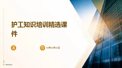 2024年度护工知识培训精选课件