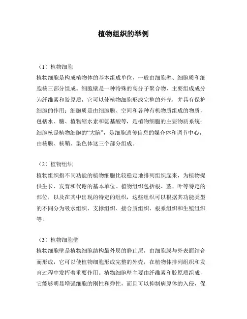植物组织的举例
