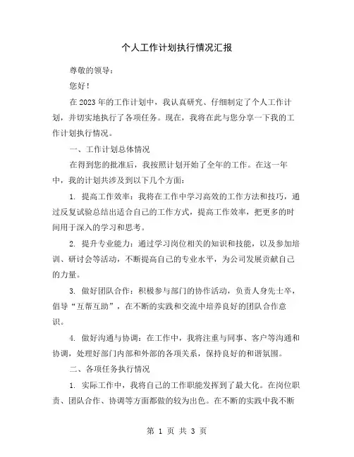 个人工作计划执行情况汇报