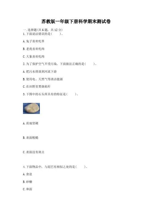 苏教版一年级下册科学期末测试卷(巩固)