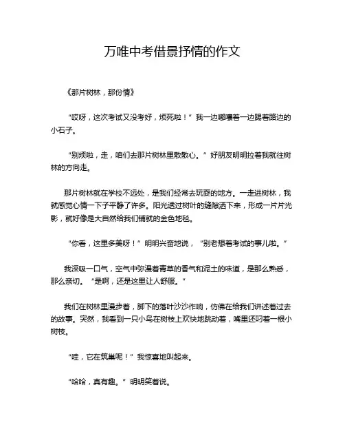 万唯中考借景抒情的作文