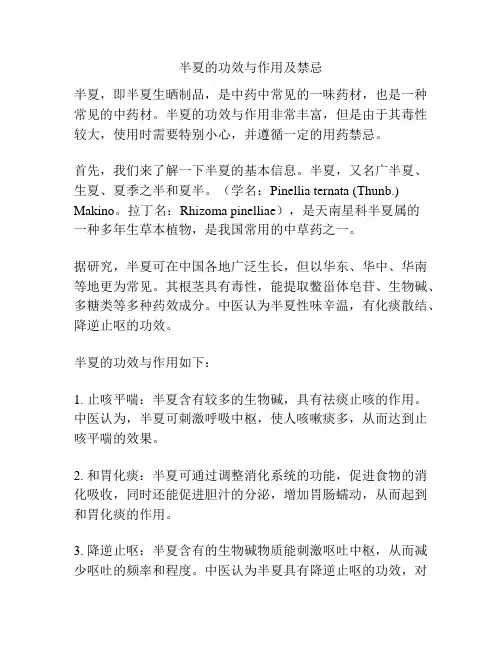 半夏的功效与作用及禁忌