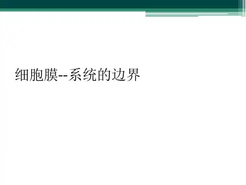 细胞膜--系统的边界