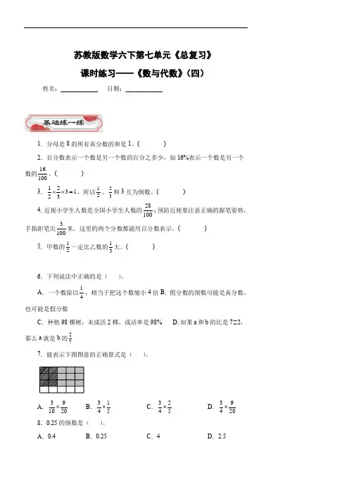 苏教版数学六下第七单元《总复习》——《数与代数》(四)