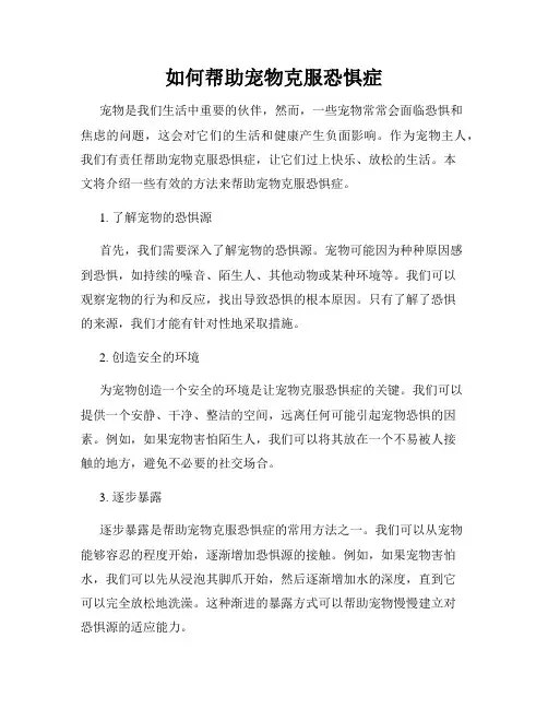 如何帮助宠物克服恐惧症