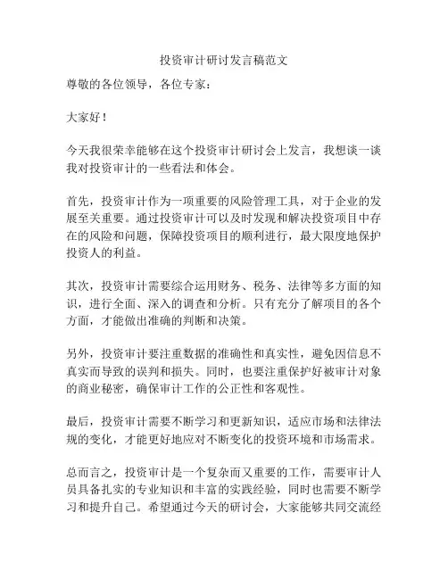 投资审计研讨发言稿范文