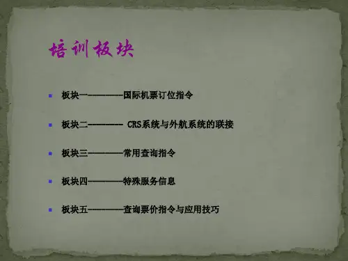 最新国际机票指令操作详解