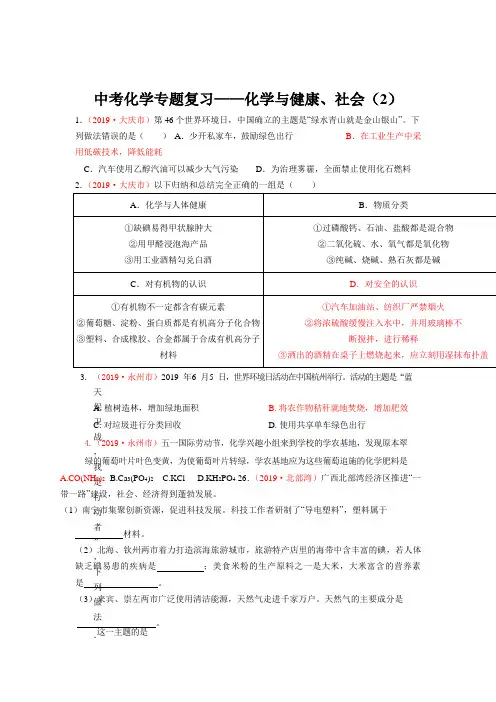中考化学专题复习——化学与健康、社会(2)