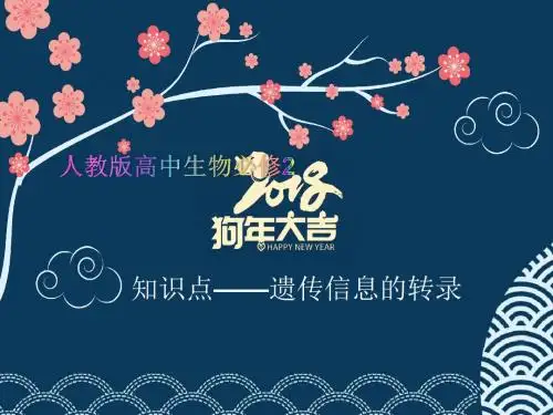 人教版高中生物必修2教学课件知识点-遗传信息的转录