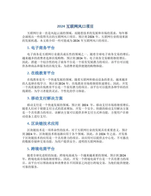 2024互联网风口项目