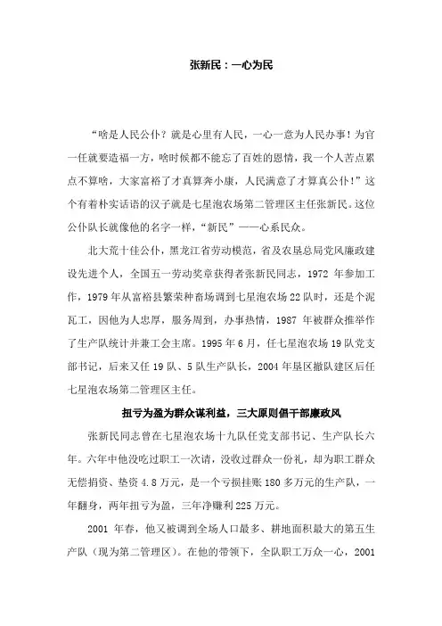 一心为民张新民