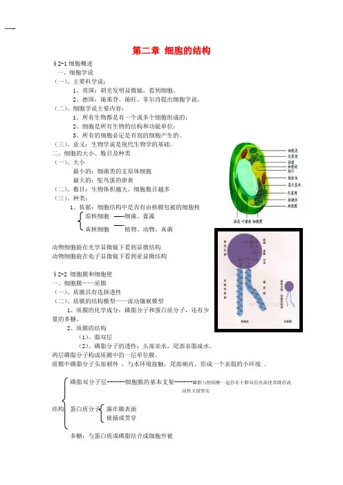 高中生物 第2章 细胞的结构(教案)浙科版必修1