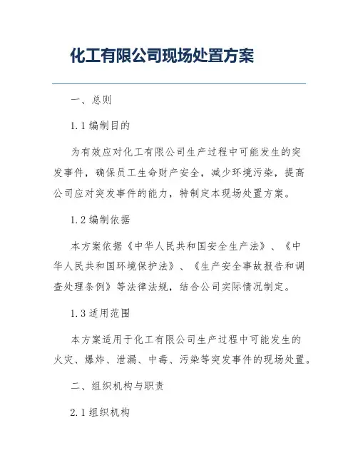 化工有限公司现场处置方案