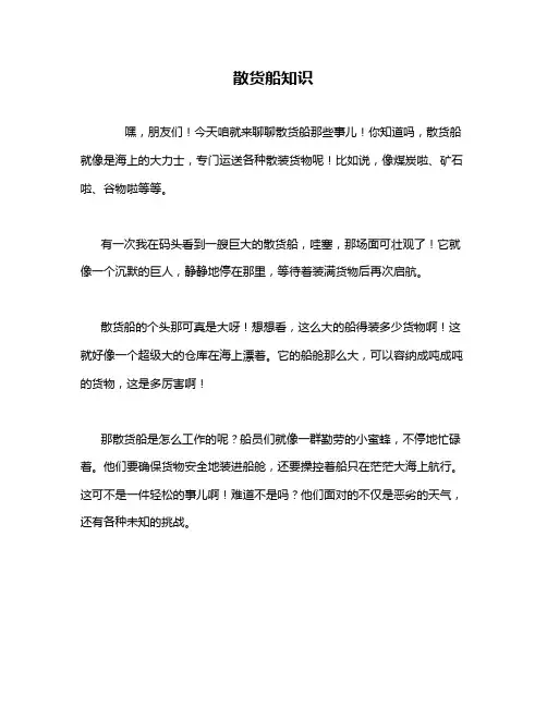 散货船知识
