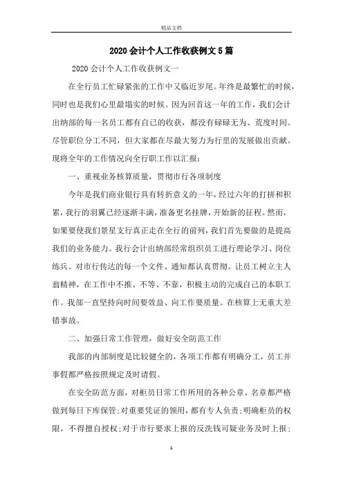 2020会计个人工作收获例文5篇