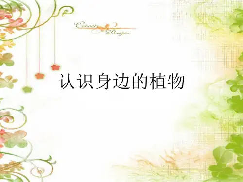 小学科学校园的树木-ppt课件
