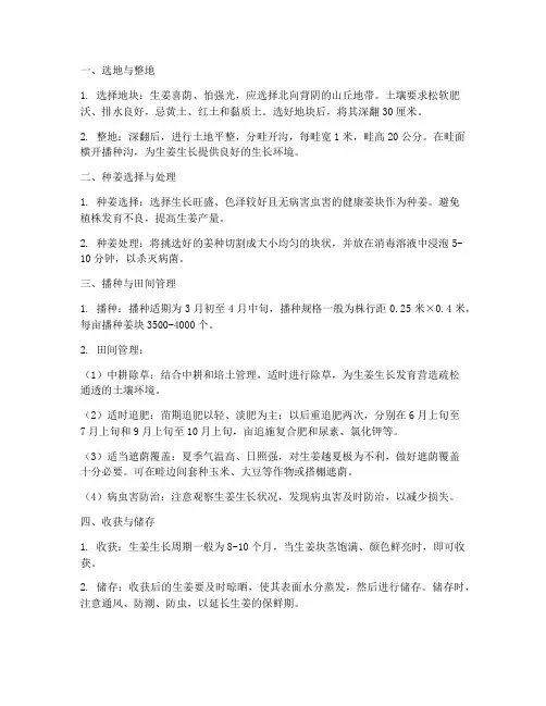 种植生姜的技术及管理