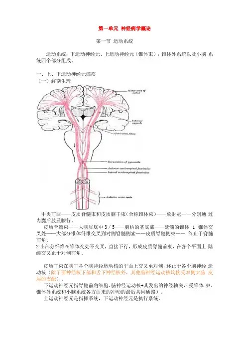 完整版神经病学第七版