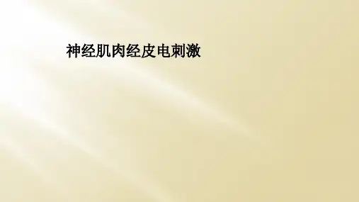 神经肌肉经皮电刺激