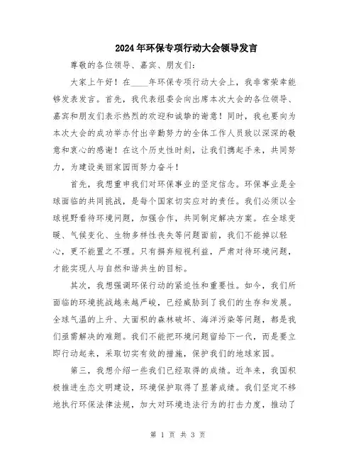 2024年环保专项行动大会领导发言