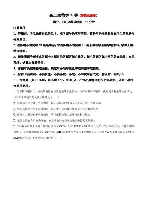 安徽省鼎尖教育联考2024-2025学年高二上学期开学考试 生物含答案