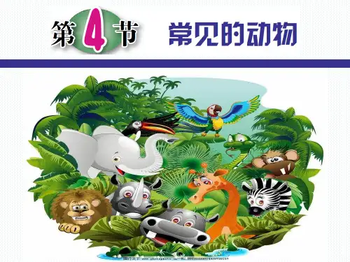 2.4常见的动物—浙教版七年级科学上册课件(共81张PPT)