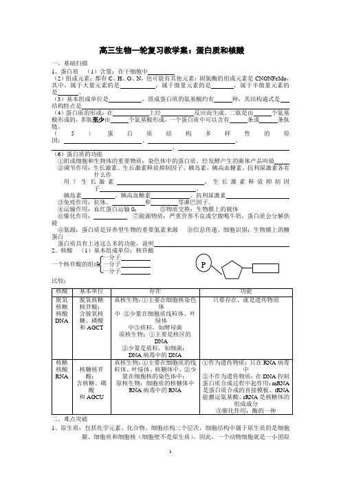 高三生物一轮复习教学案：蛋白质和核酸