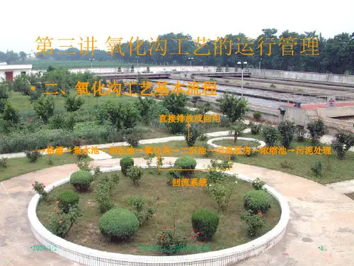 氧化沟工艺的运行管理课件