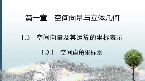 高中数学选择性必修一课件：1.3.1空间直角坐标系