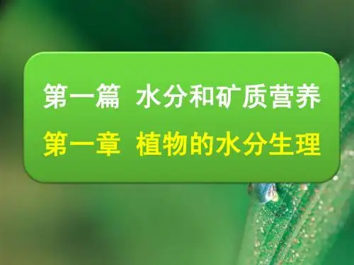 植物生理学2_植物的水分生理