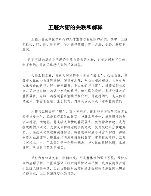 五脏六腑的关联和解释