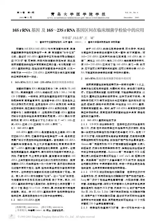 16S rRNA基因及16S～23S rRNA基因区间在临床细菌学检验中的应用