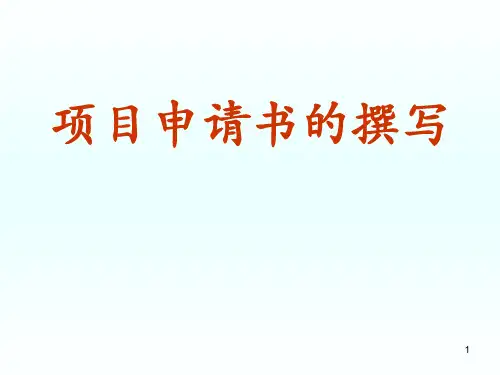 项目书写作PPT课件