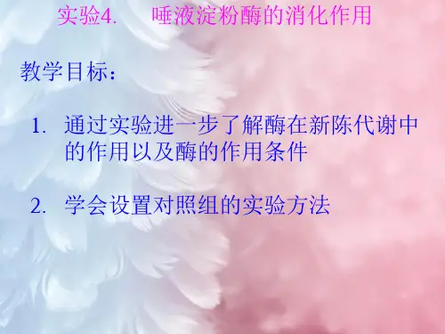 唾液淀粉酶的消化作用PPT教学课件