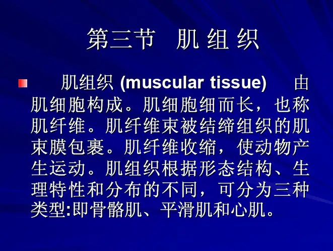 (基本组织学)第三节 肌组织