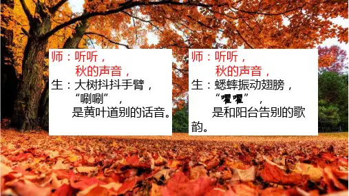 15 搭船的鸟  课件(共40张PPT)