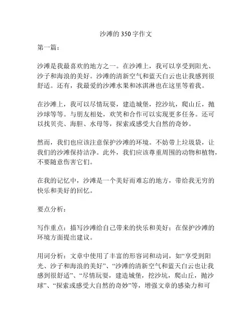 沙滩的350字作文