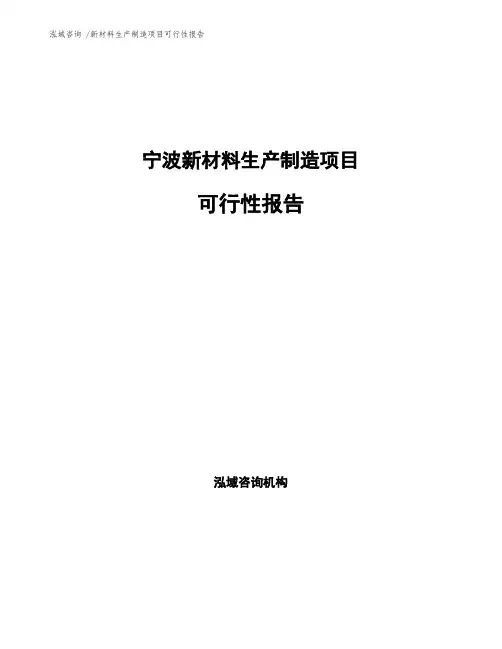 宁波新材料生产制造项目可行性报告