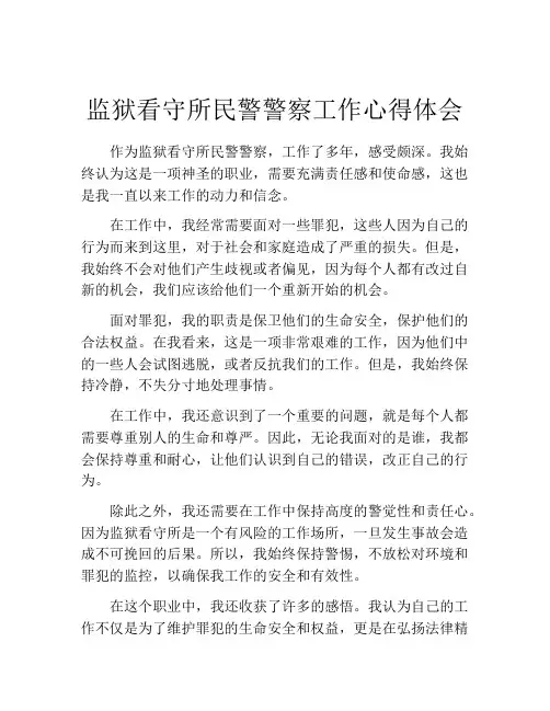 监狱看守所民警警察工作心得体会
