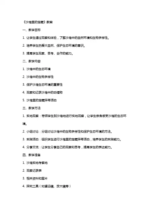 《沙堆里的宝藏》教案