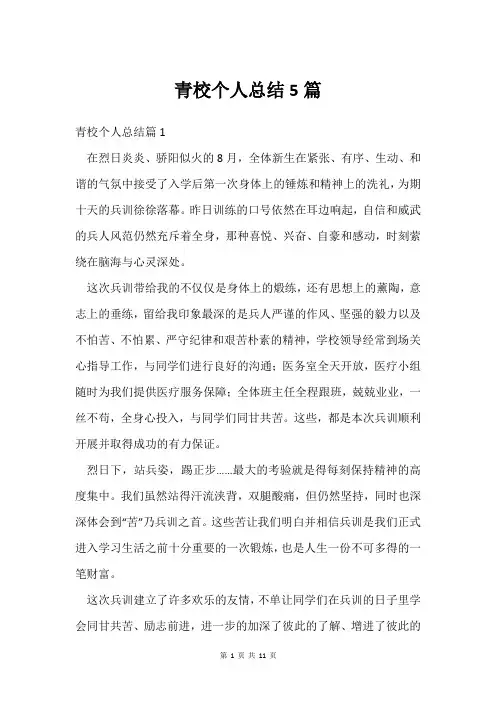青校个人总结5篇