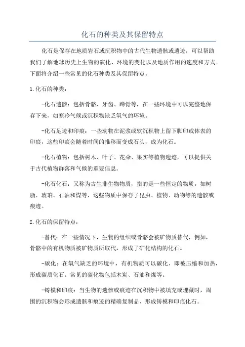 化石的种类及其保留特点