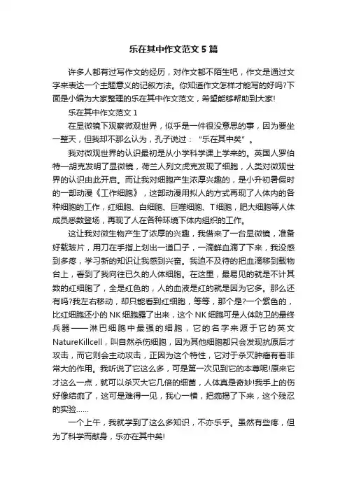 乐在其中作文范文5篇