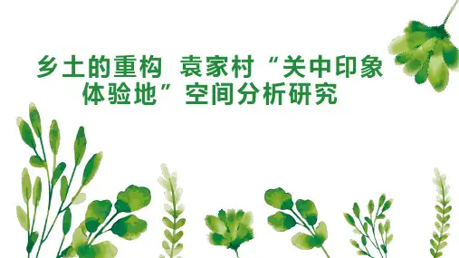 乡土的重构 袁家村“关中印象体验地”空间分析研究