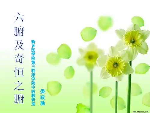 第三章 六腑及奇恒之腑