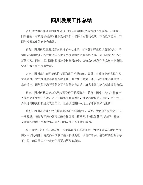 四川发展工作总结